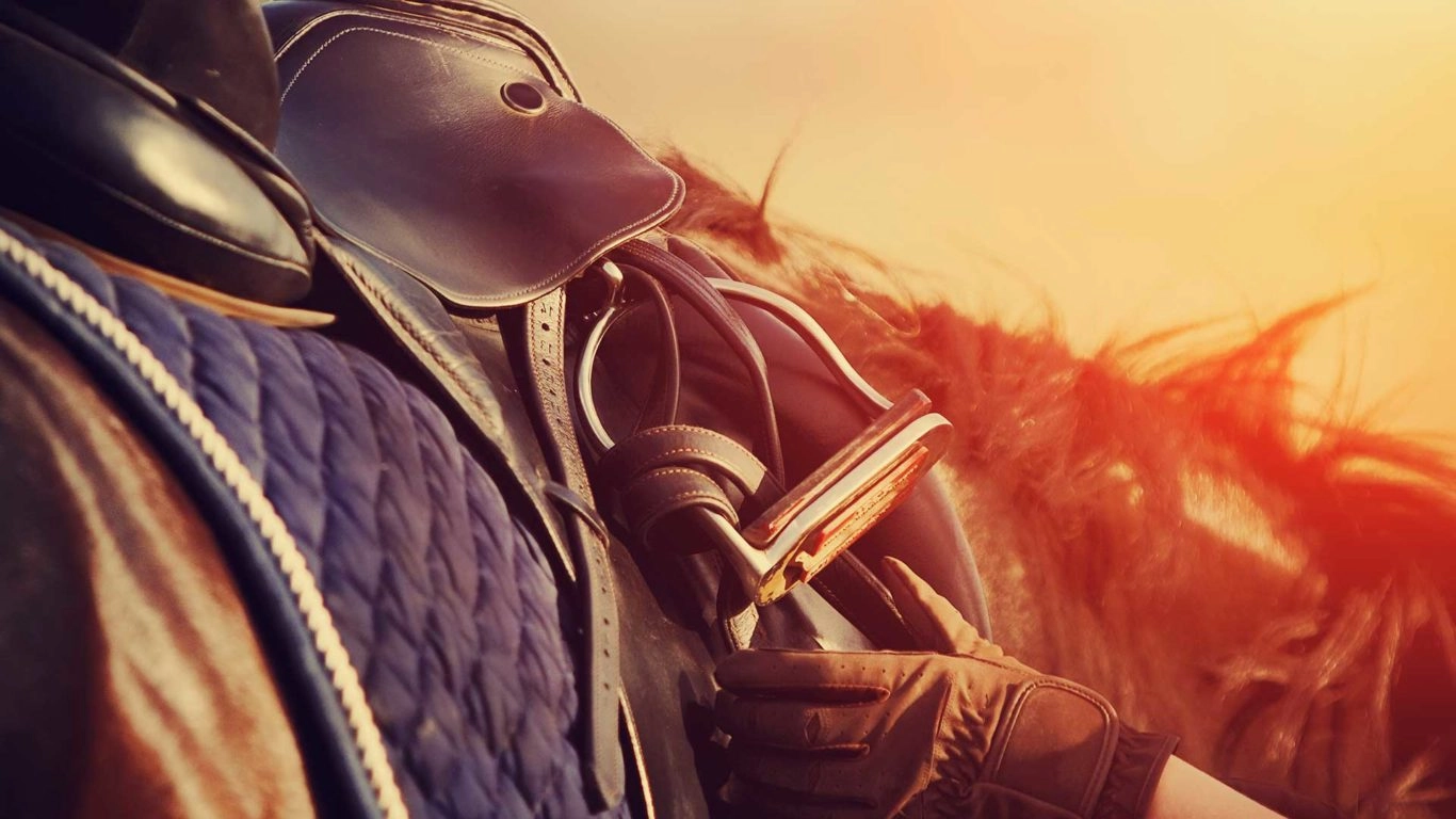 Kellys horseriding nearby wexford