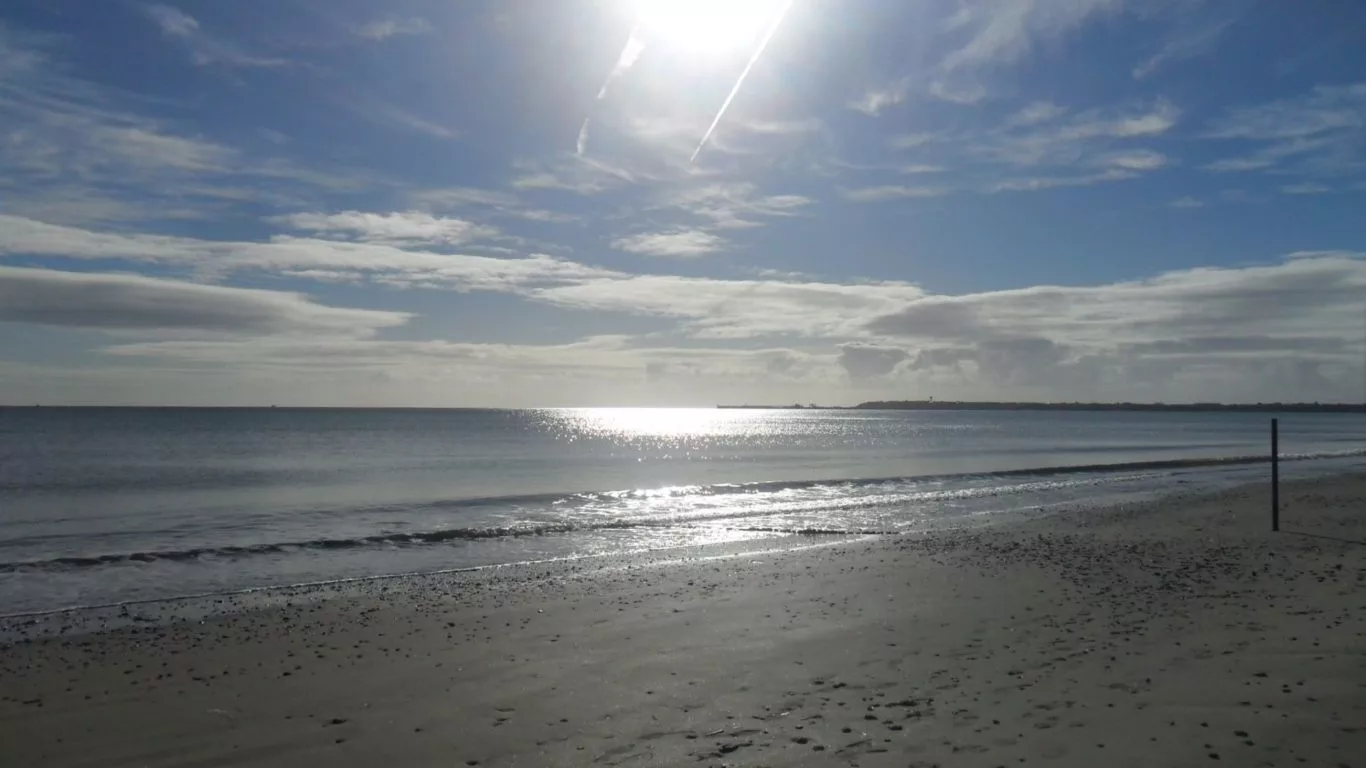Kellys-Gardens-rosslare12