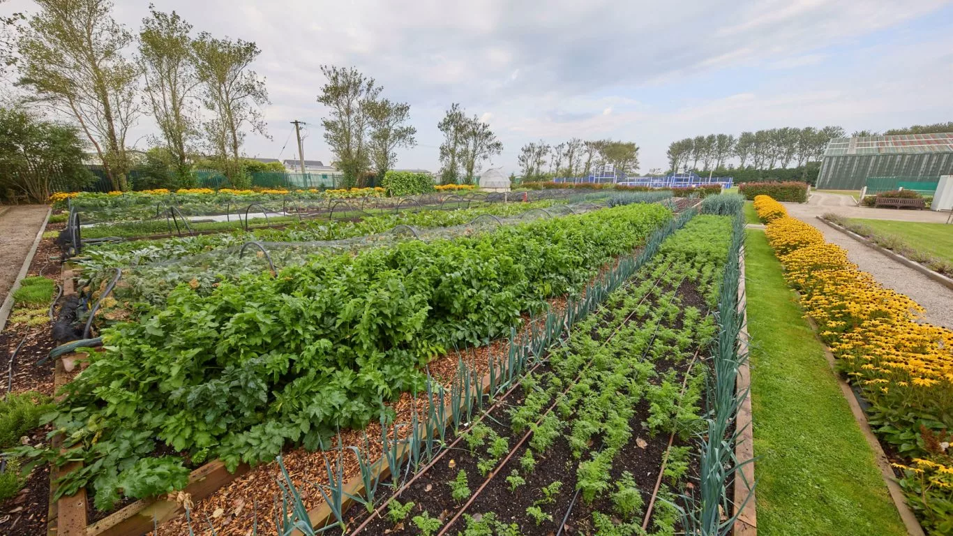 kellys-kitchen-garden-wexford03