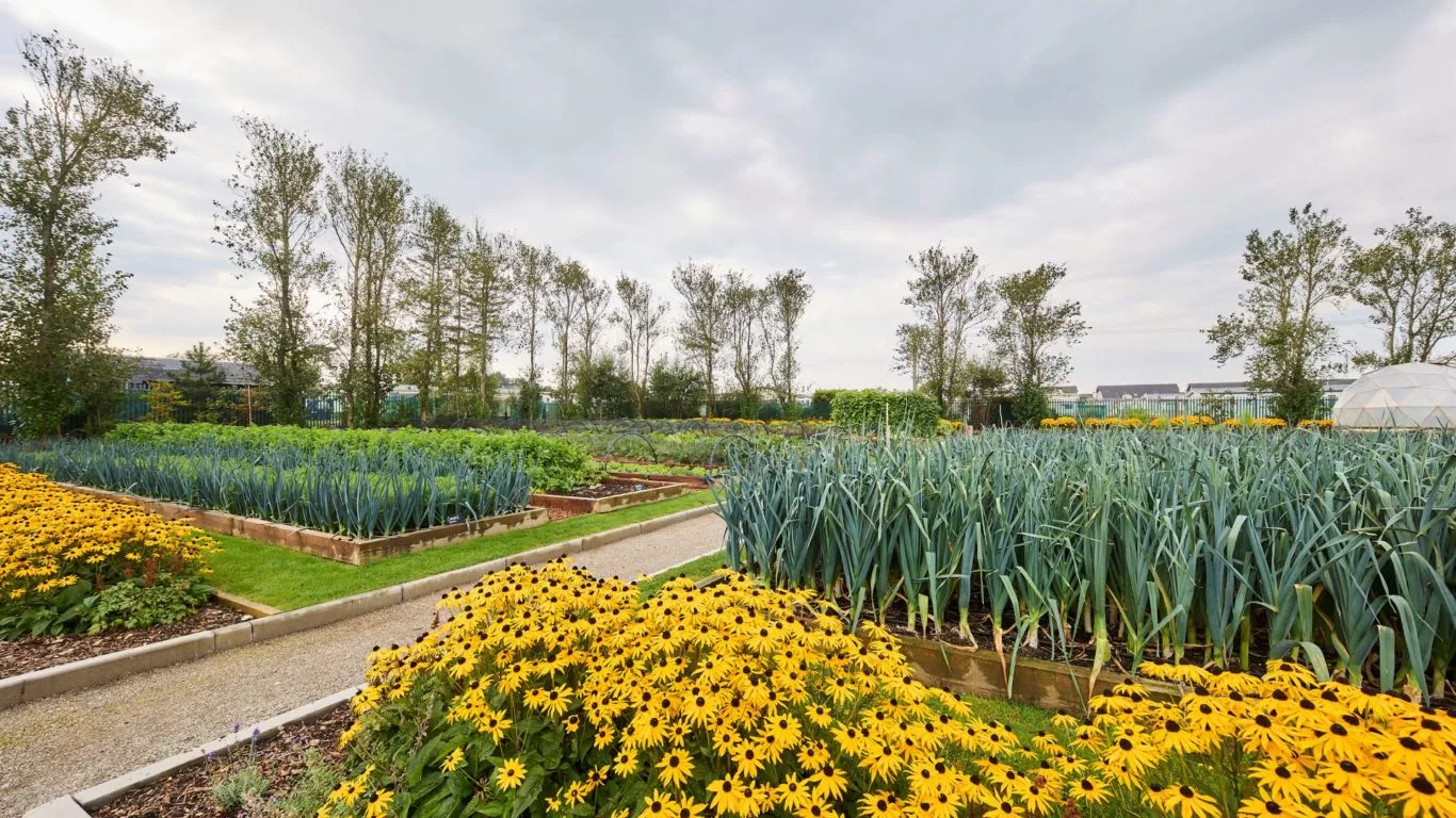 kellys-kitchen-garden-wexford04