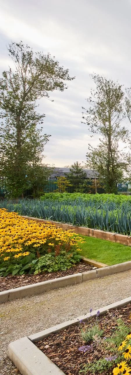 kellys-kitchen-garden-wexford04