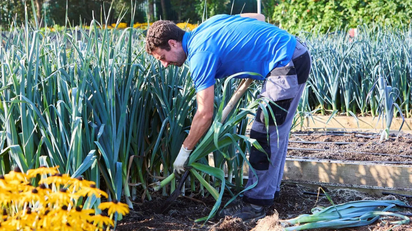 kellys-kitchen-garden-wexford29