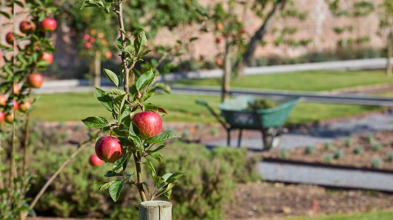 kellys-kitchen-garden-wexford39