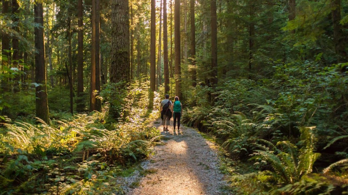 walks-forest-walking-trails-wexford