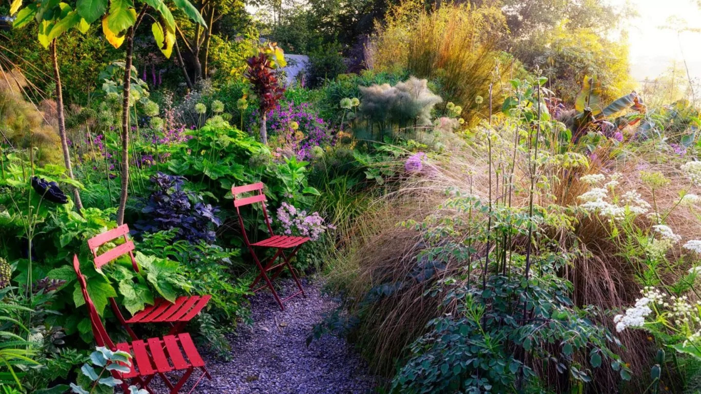 Jimi-blake-garden-at-kellys02