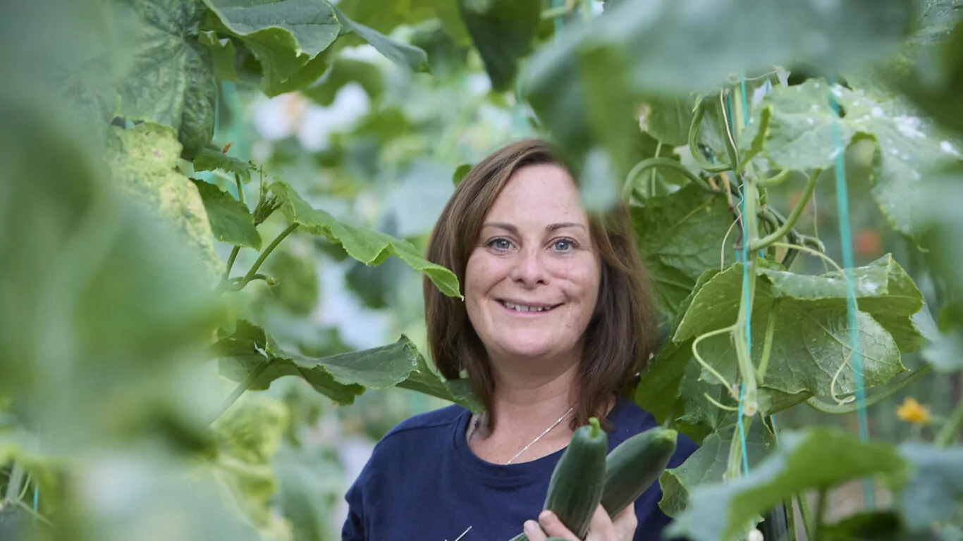 Kellys hotel Rosslare and Cafe Wexford