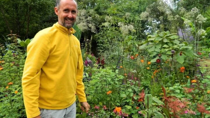 Lush green hotel garden with vibrant flowers, offering a serene atmosphere for guests seeking peaceful relaxation.