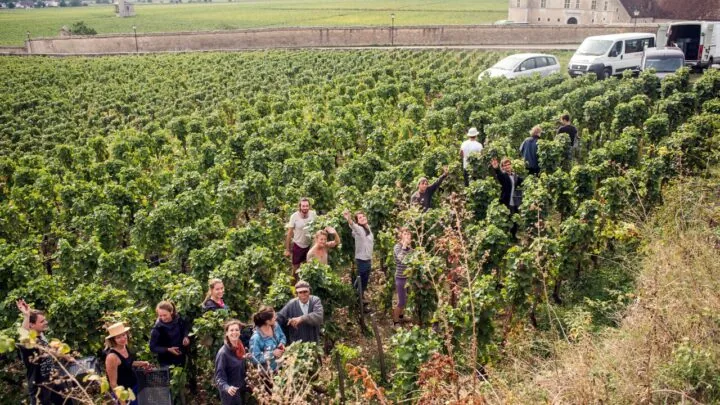 domaine-tawse-wine-tasting-at-kellys03