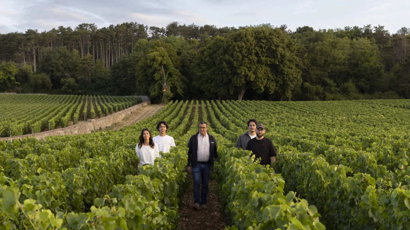 Five people stand in the middle of a vineyard, surrounded by rows of grapevines and dense trees in the background under a partly cloudy sky.