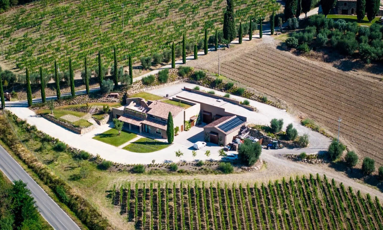 Aerial view of a vineyard estate with a main house, outbuildings, rows of grapevines, a driveway lined with trees, and a road running beside the property.