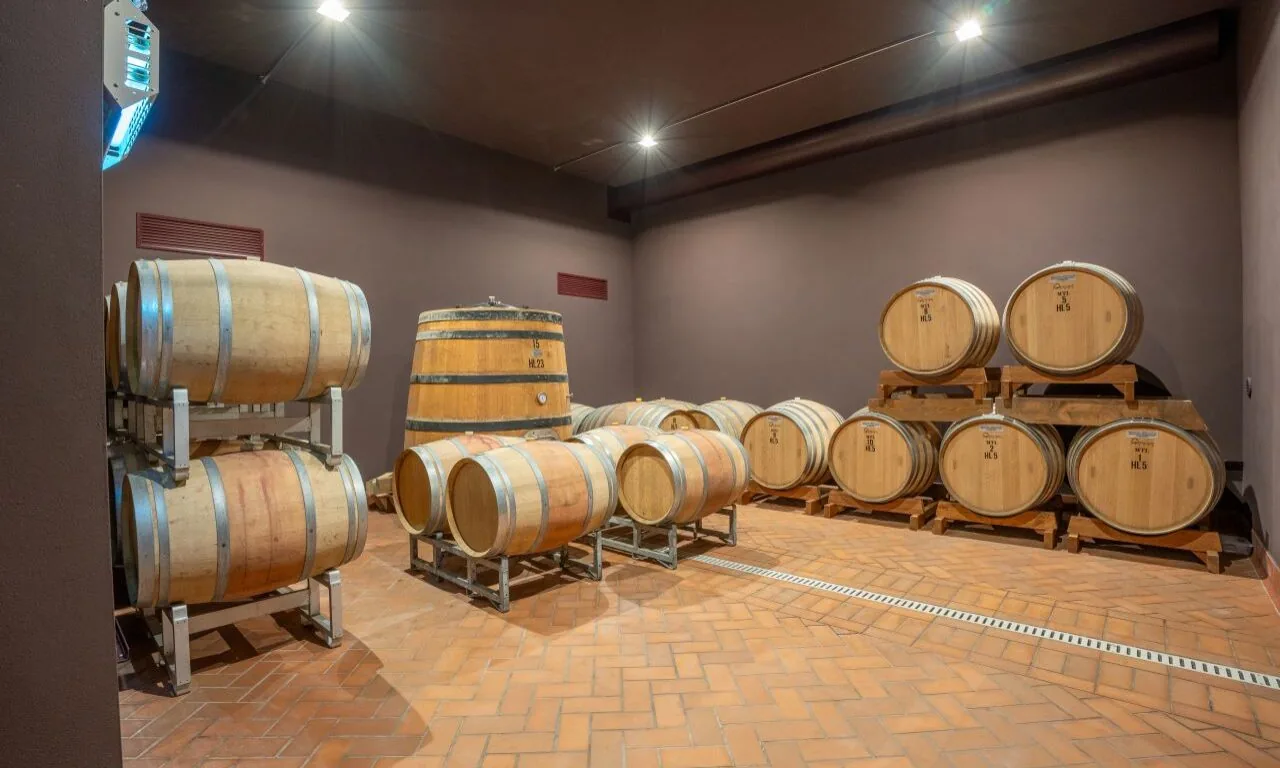 A room with several wooden barrels of various sizes stored on racks and directly on a brick floor under ceiling lights.