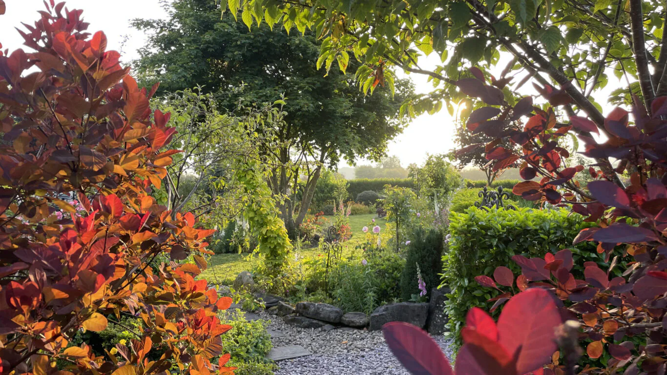 Tranquil hotel garden with lush green trees, colourful foliage, and a gravel path at sunset, perfect for relaxing walks.