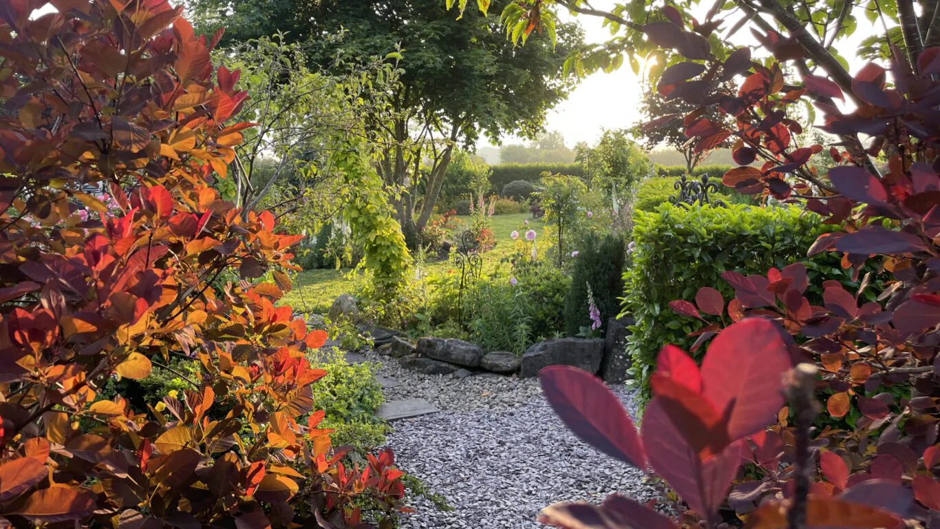 Enchanting garden with vibrant foliage, peaceful paths, and lush greenery at the hotel, perfect for a serene retreat.